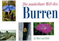 owbgcover_books